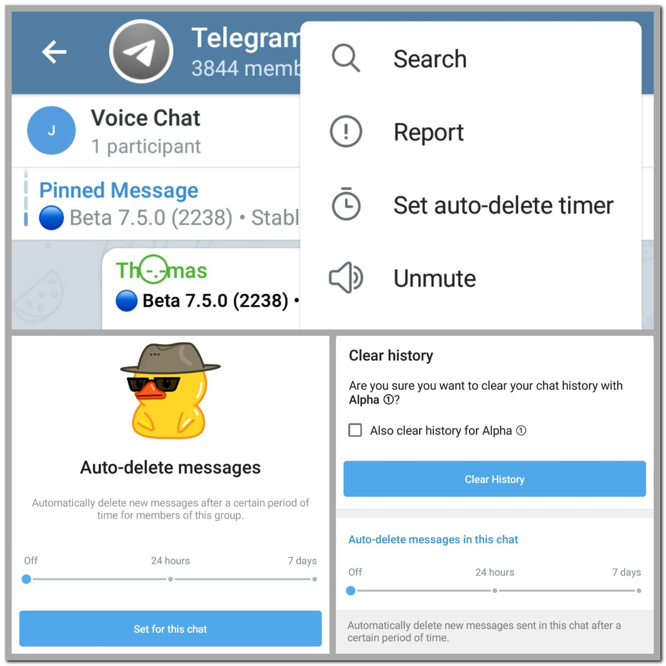 Telegram adds invite links with custom expiry span and message auto 
