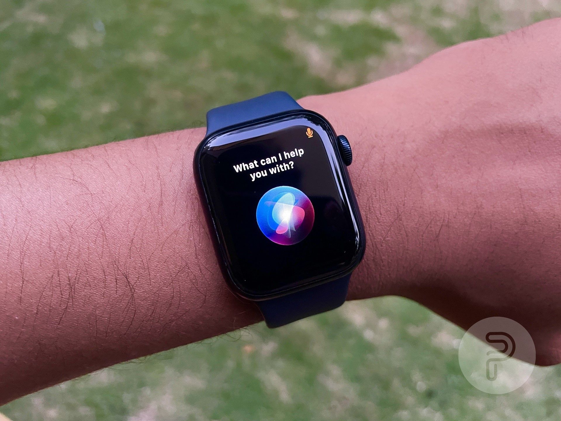 an image showing the Siri interaction screen on Apple Watch