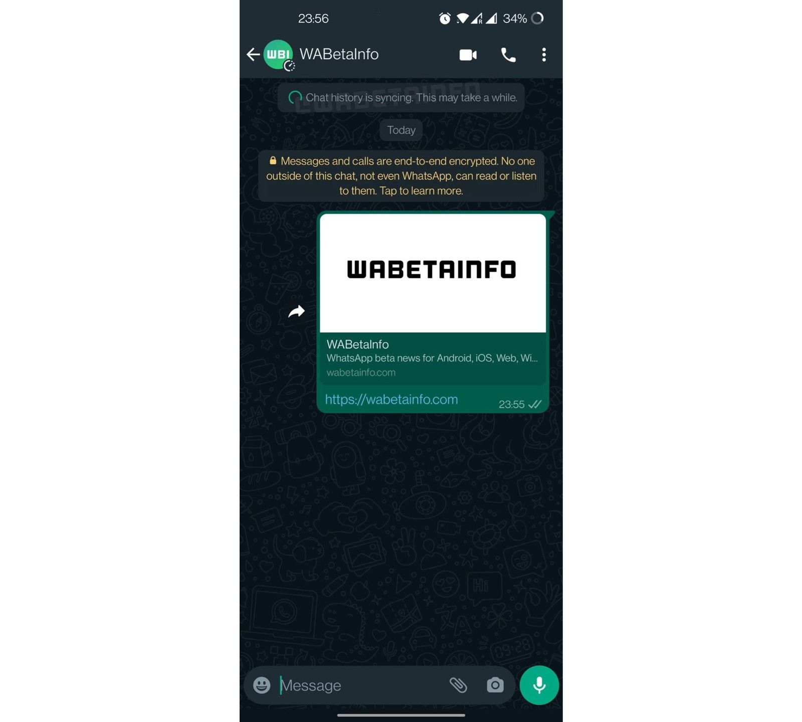 WhatsApp yardımcı modunu gösteren ekran görüntüsü